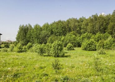 Участок, 28.57 сот, 95&nbsp;000&nbsp;000 руб.