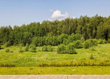 Участок, 55 сот, 140&nbsp;000&nbsp;000 руб.