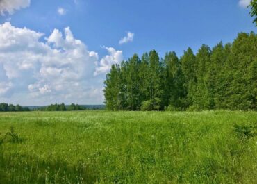 Участок, 24,43 сот, 70&nbsp;000&nbsp;000 руб.